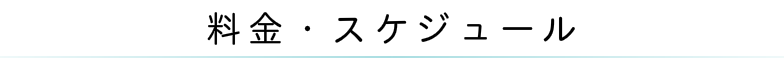 料金・スケジュール