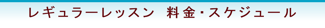料金・スケジュール